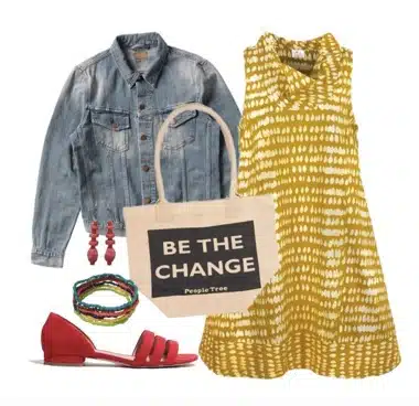 Developing the Moringa Filtration System