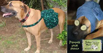 Your dog can support fair trade too! Your dog can support fair trade too!
