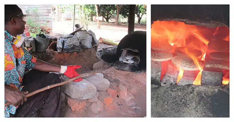 Developing the Moringa Filtration System