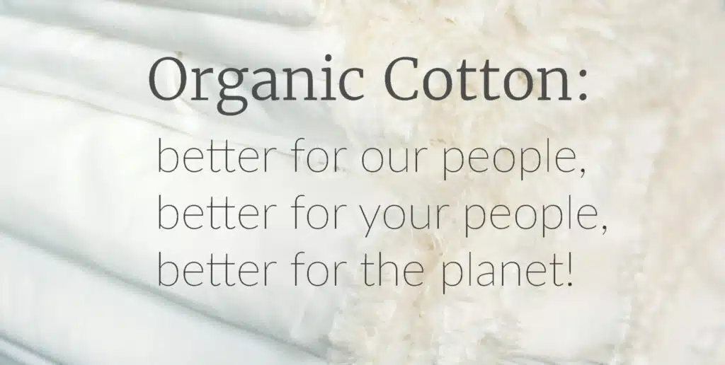 Developing the Moringa Filtration System