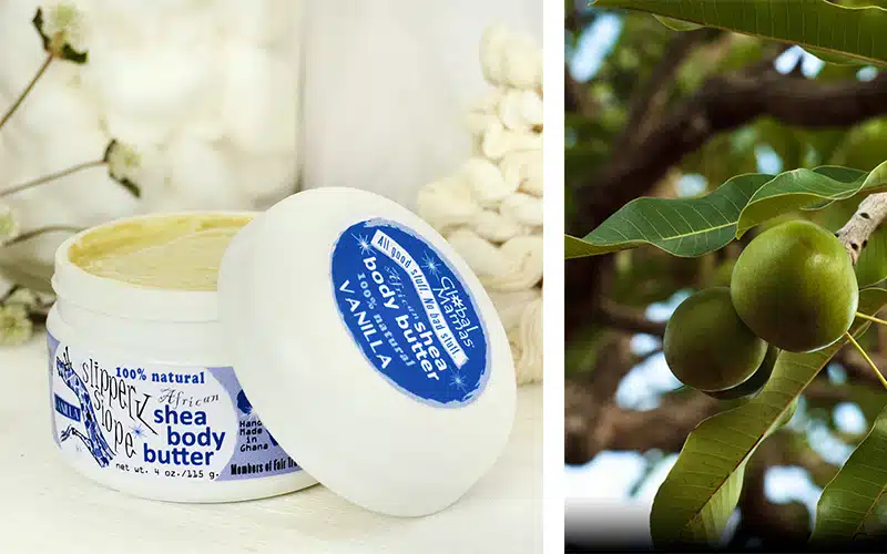 Developing the Moringa Filtration System