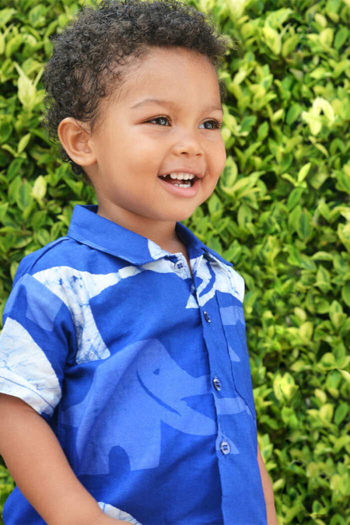 Button Down Shirt: Elephants - Blue-Organic