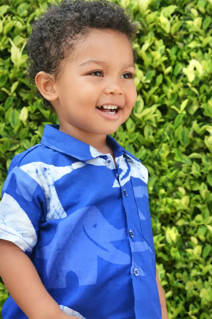 Button Down Shirt: Elephants - Blue-Organic