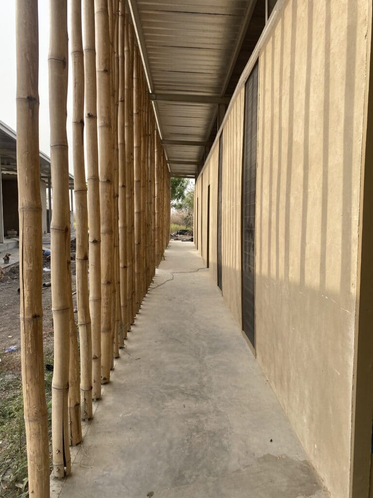 IMG 3748