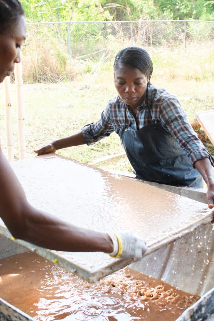 FTZ Papermaking5 StrainingPulp